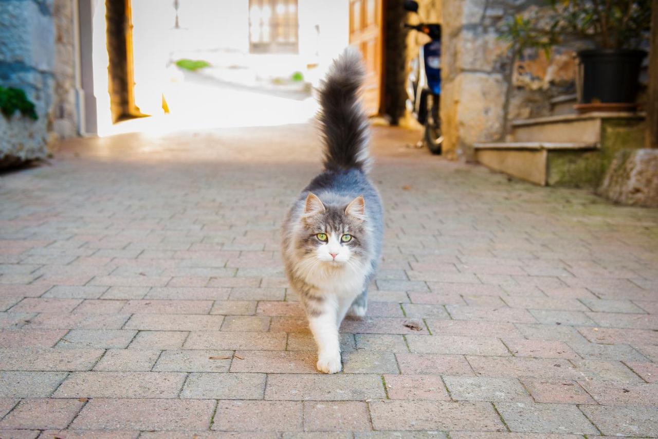 Dutovlje Tourist Farm Skerljヴィラ エクステリア 写真